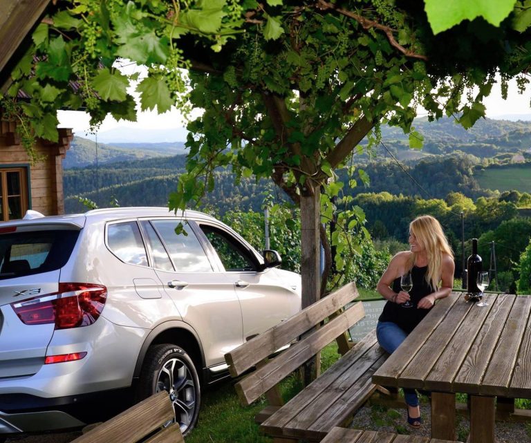 Vineyard view on Instagram @paceyshunter
